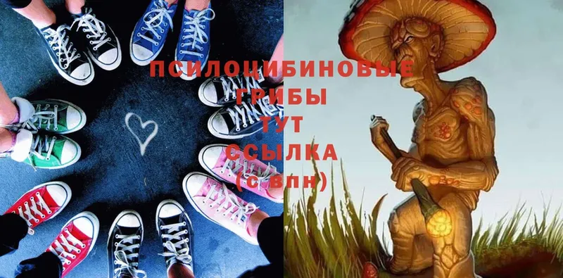 Галлюциногенные грибы MAGIC MUSHROOMS Бокситогорск